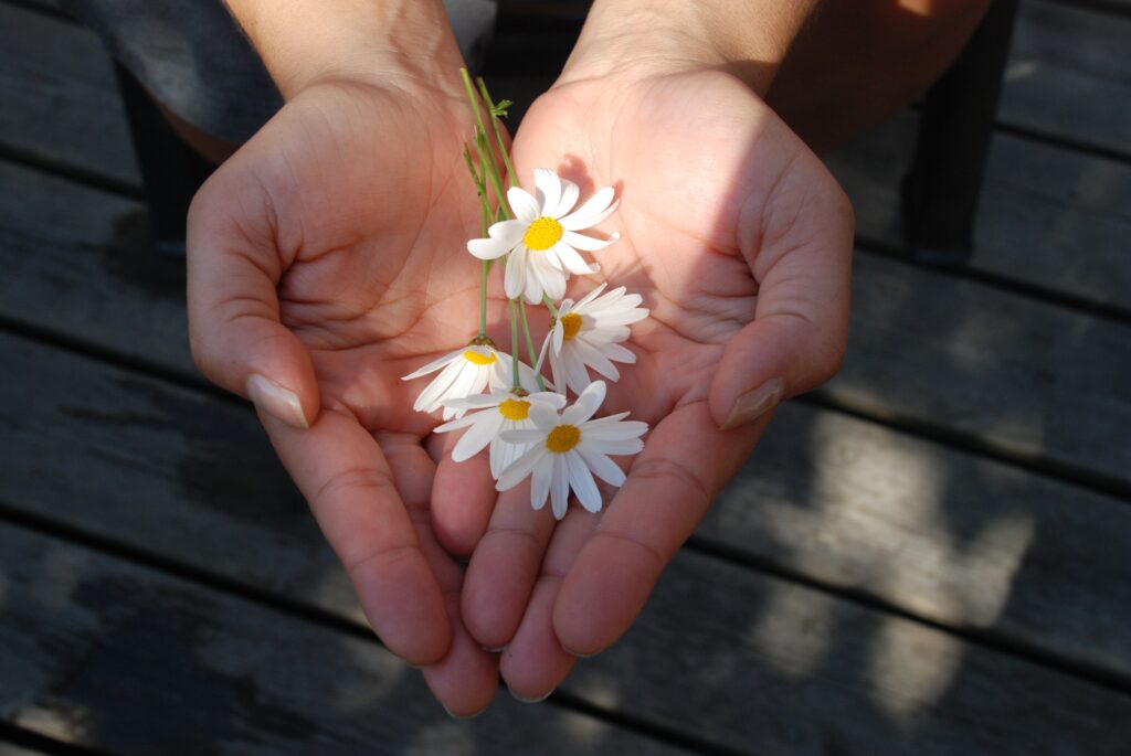 Hand reaching out giving with flower petals