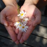 Hand reaching out giving with flower petals