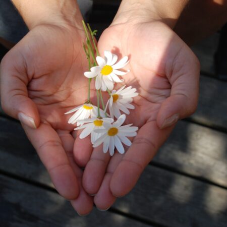 Hand reaching out giving with flower petals